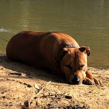 Strathmerton ulupna island camp spot | Unnamed Road, Ulupna VIC 3641, Australia