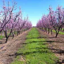 Leotta Nominees Pty Ltd (Leotta's Fresh Stone Fruit) | 741 Canning Rd, Carmel WA 6076, Australia