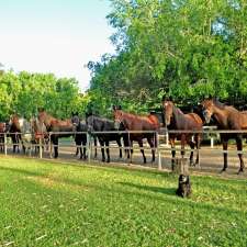 Ranchlands Equestrian Centre | 83 Hammond Way, Kelso QLD 4815, Australia