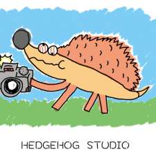 Hedgehog Studio | 5 Wrixon St, Kew VIC 3101, Australia