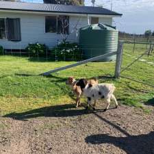 Mariam farm Stay / Glamping | 184 Dookie-Violet Town Rd, Violet Town VIC 3669, Australia