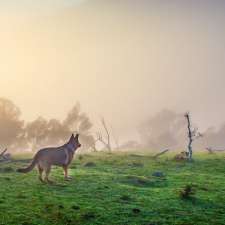 Johnnie Dowling Photography | 20 Bignell St, Illawong NSW 2234, Australia