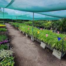 Flora North Nursery | 22-24 Bessemer St, Stuart QLD 4811, Australia