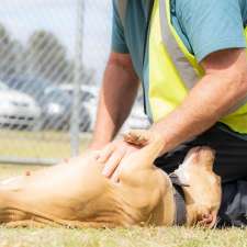 Geelong Animal Welfare Society | 325 Portarlington Rd, Moolap VIC 3221, Australia