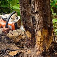 Tree Removal Londonderry ✅ | Tree Lopping, Tree Trimming, Land Clearing, Arborist, Londonderry NSW 2753, Australia
