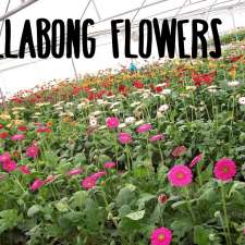 Billabong Flowers | 275 Dennis Rd, Cedar Vale QLD 4285, Australia