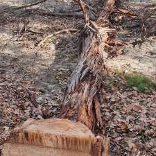 Sticks tree care | Chapel St, Kapunda SA 5373, Australia