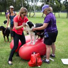 The Balanced Canine | 17 Percy St, Marayong NSW 2148, Australia