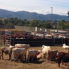 JR Cutting & Performance Horses | 682 Old Mount Beppo Rd, Toogoolawah QLD 4313, Australia