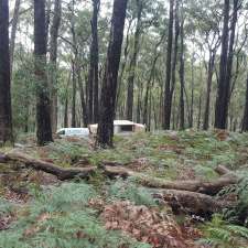 Ferntree Camping Ground | Raglan VIC 3373, Australia