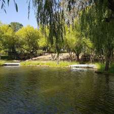 Burley Griffin parkrun | Pescott Ln & Weston Park Road, Yarralumla ACT 2600, Australia