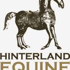 Hinterland Equine Veterinary Services | 317 Valdora Rd, Valdora QLD 4561, Australia