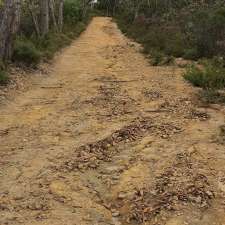 Bwb sweat hill -Adventure Hike | Chinamans Hut Track, Cleland SA 5152, Australia