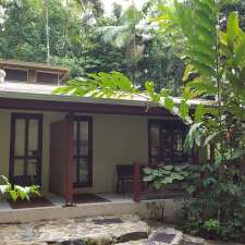 Daintree Deep Forest Lodge | 2159 Cape Tribulation Rd, Cape Tribulation QLD 4873, Australia