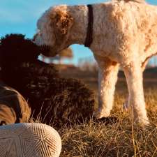 Dog off leash area | Bungendore NSW 2621, Australia