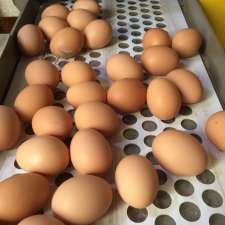 Mountain Pastures Free Range Eggs | 656 Russell Creek Rd, Fumina South VIC 3825, Australia