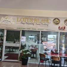 Lotus Blanc | Plaza Supermarket, Shop 7/482 Salisbury Hwy, Parafield SA 5107, Australia