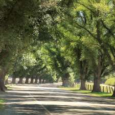 Avenue of Honour | Bacchus Marsh VIC 3340, Australia