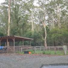 KTs Forest by the Sea | 175 Coomba Rd, Charlotte Bay NSW 2428, Australia