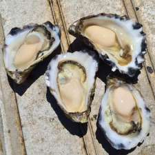 Montague Oysters | 8 Murphy Pl, Narooma NSW 2546, Australia