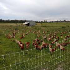 Dynamic Farms | 246 Lake Mary Rd, Lake Mary QLD 4703, Australia