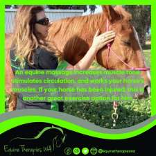 Equine Therapies WA | 1320 Stone St, Chidlow WA 6556, Australia