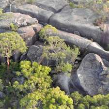 MS Consulting Arborist | Honeysuckle St, Umina Beach NSW 2257, Australia