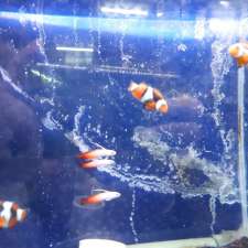 Nature Aquariums | 723 Maroondah Hwy, Mont Albert VIC 3127, Australia