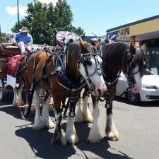 Tamworth Pony Club Grounds | 517 Bournes Ln, Hallsville NSW 2340, Australia