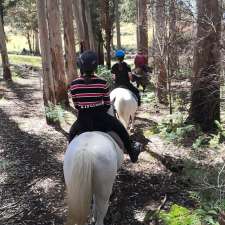 Lazy R Horse Riding | 856 Happy Valley Rd, Kordabup WA 6333, Australia