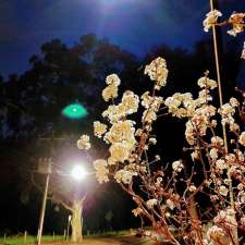 Lights of Ferguson | Stonyfell SA 5066, Australia