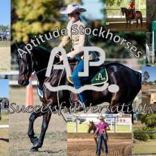 Aptitude Stock Horses | 123, Tinana South QLD 4650, Australia