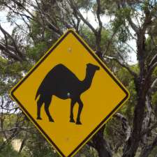Eremia Camel Treks | Hopetoun Rd, Ravensthorpe WA 6346, Australia
