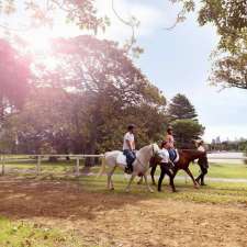 Centennial Parklands Equestrian Centre | 114-120 Lang Rd, Moore Park NSW 2021, Australia
