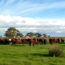 TELANG PASTORAL CO | 199 Starling Ln, Wangolina SA 5275, Australia