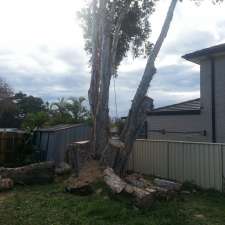 Robert Mank Tree Care Services | 83 Laver Rd, Dapto NSW 2530, Australia