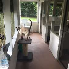 Kates Cat Motel | 25 Crossmaglen Rd, Bonville NSW 2441, Australia