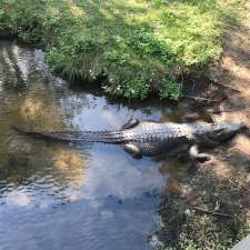 Fleays Wildlife Conservation Park | Burleigh Heads QLD 4220, Australia