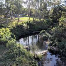 Log Across Norman Creek | Annerley QLD 4103, Australia