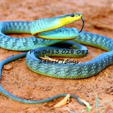 Snake Catchers Brisbane | 73 Dove Tree Cres, Sinnamon Park QLD 4073, Australia