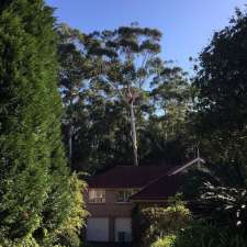 Chainsaw Man | 12 Scott Bruce Pl, Tumbi Umbi NSW 2261, Australia