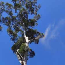 Greenish Tree Care | 46 Redwood Rd, Doonan QLD 4562, Australia