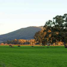 Gentle Annie Caravan and Camping Reserve | 98 Gentle Annie Ln, Whitfield VIC 3733, Australia