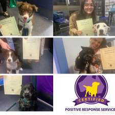 Positive Response Dog Training | 433 Boundary Rd, Thornlands QLD 4164, Australia