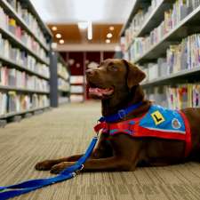 Assistance Dogs Australia | 1780 Princes Hwy, Waterfall NSW 2233, Australia