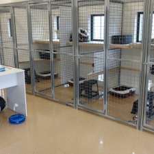 Karingal Cattery | 43 Karingal Park Dr, Smythes Creek VIC 3351, Australia