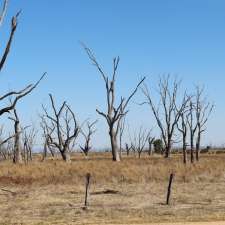 Winton Wetlands Reserve | Winton Wetlands, Winton North VIC 3673, Australia