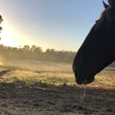 Horse Riding Tasmania | 1592 Buckland Rd, Woodsdale TAS 7120, Australia