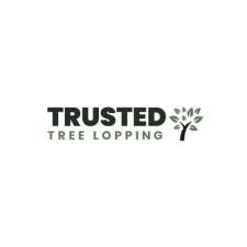 Trusted Tree Lopping Brisbane | 332/241 Adelaide St, Brisbane City QLD 4000, Australia