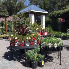 Plant Trade Nursery | 4310 Nelson Bay Rd, Anna Bay NSW 2316, Australia